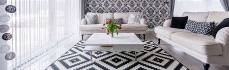 Stylish black and white living room with sofas and tableの写真素材