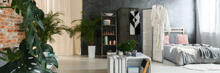 Modern upcycling interior design with bed and plantsの写真素材
