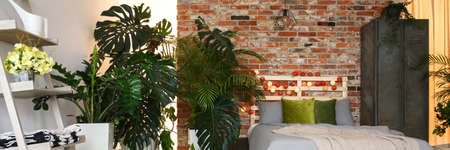 Inspiring bedroom in botanical rustic style with green plantsの写真素材