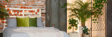 Big comfortable bed in inspiring botanic apartment full of plantsの写真素材