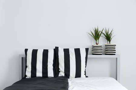 Double bed, decorative, black and white cushions, and house plantsの写真素材