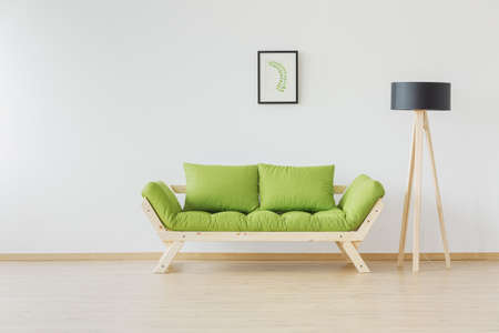 Botanic poster above the wooden stylish sofa