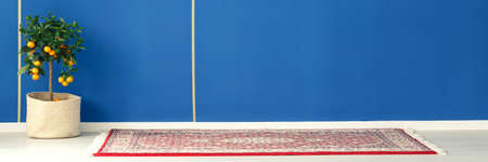 Orange tree standing next to a carpet in blue room