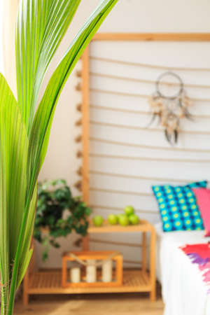 Blurry photo with a fresh plant in the foregroundの写真素材