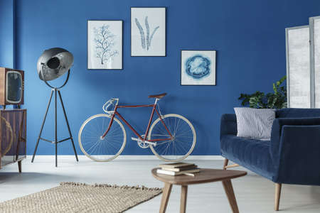 Elegant retro living room with classic bicycle