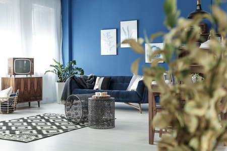 Stylish elegant living room with vintage TV