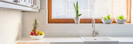 Tidy white kitchen with plants on a window sillの写真素材