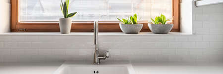 Sink on a spacious white worktop by big window with plantsの写真素材