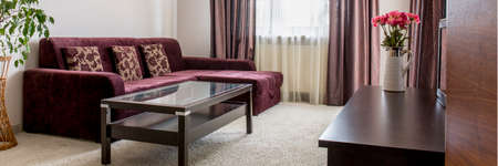 Panorama of purple sofa in living roomの写真素材