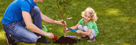 Man and smiling boy planting together a little tree in the grassの写真素材