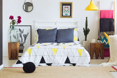 Contemporary bedroom decor with mexican accents and geometric pattern