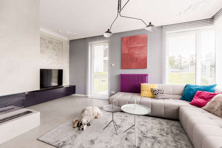Dog sleeping in contemporary living room with big windows, corner beige couch with colorful pillows and abstract paintingの写真素材