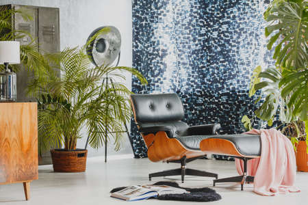 Light room decorated in vintage style with comfortable furniture and exotic plantsの写真素材