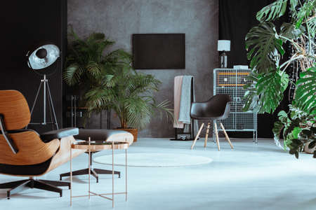 Open space in big living room with exotic plants and retro furnitureの写真素材