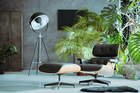 Studio with black leather armchair, lamp and exotic plantsの写真素材
