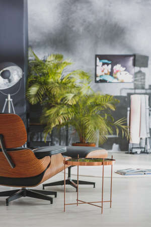 Room with retro design, exotic plants and comfortable armchairの写真素材