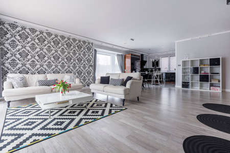 Retro black and white living room with cozy sofas in modern apartment