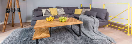 Grey blanket on carpet and dark couch set next to designed table in inspiring living room