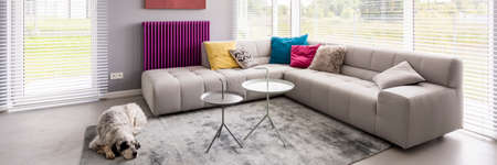 Designed coffee tables near to grey couch set with patterned pillows and violet heater on wallの写真素材