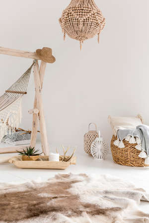 Minimalistic interior of a house with a stylish animal skin lying on the floorの写真素材