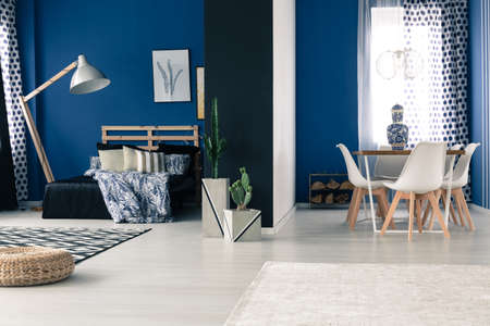 Open interior with bold blue walls, bedroom and dining roomの写真素材