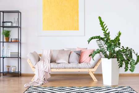 Decorative plant in white pot next to beige sofa with pastel pillows and blanket in living room with...