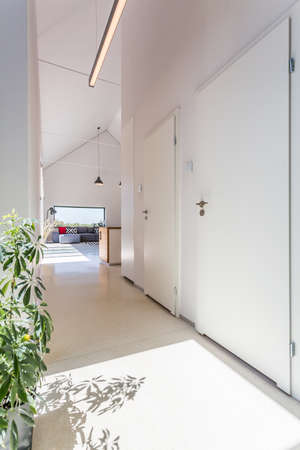 View of bright white corridor with plant and doors to roomsの写真素材