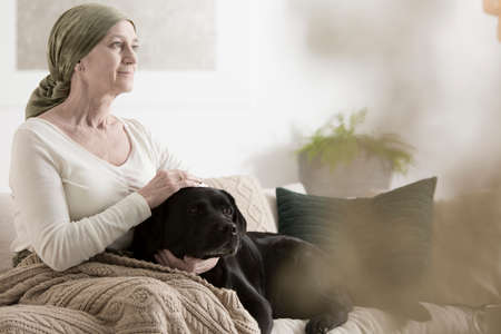 Animal assisted therapy reducing stress in grandmother with cancer sitting with dog on sofaの写真素材