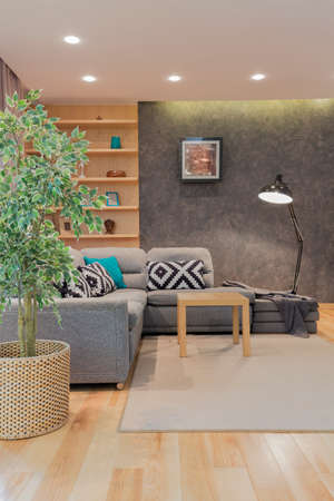Modern living room with grey wall and grey couch