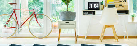 Wooden cupboard with green potted plant standing between red bicycle and office deskの写真素材