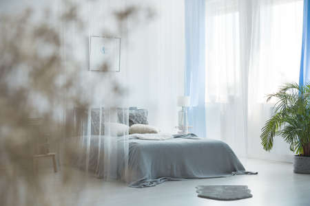 King-size bed with grey blanket in bedroom interior with plant and furの写真素材