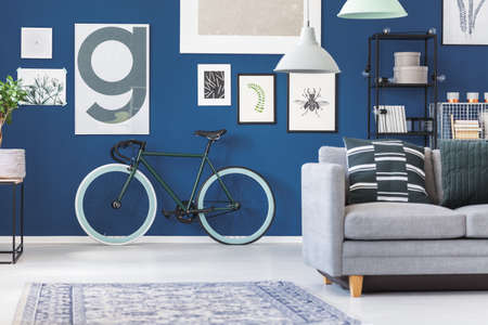Black and green bike against dark blue wall with posters in living room interior with grey sofaの写真素材