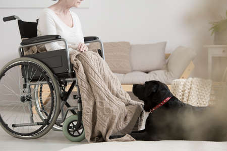 Cancer patient on a wheelchair overcoming tumor with her dog during pet therapyの写真素材