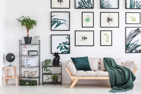 Small metal rack with plants and cat shaped clock standing next to wooden couch with green coverletの写真素材