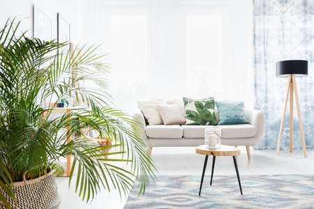 Plant in bright living room with wooden table on a carpet and lamp next to a sofa with floral pillowの写真素材