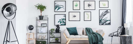 Designer lamp near shelf with plants in bright living room with gallery above sofa next to metal chairの写真素材