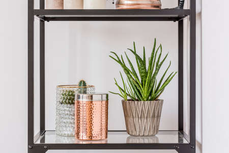 Close-up of aloe plant in patterned pot and copper box on glass shelfの写真素材