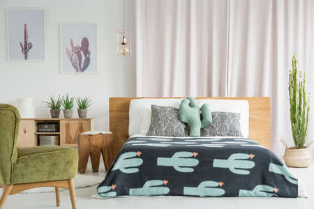 Cactus theme room with wooden and velvet furnitureの写真素材