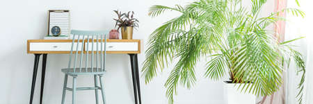 Plant next to grey chair and wooden desk with gold pot and clock in bright workspaceの写真素材