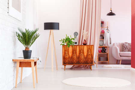 Plant on wooden stool and rustic cupboard in living room interior with white round rug and lamp near dressing roomの写真素材