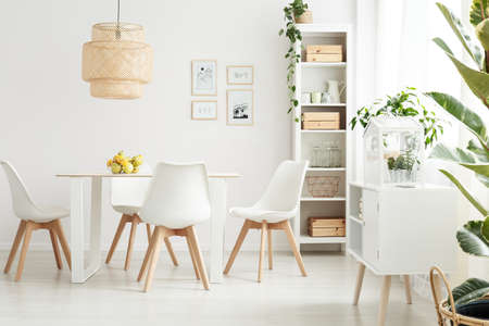 Bright and spacious dining room interior lit by the morning sun with white chairs at the table and...