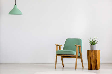 Aloe on wooden stool next to vintage green armchair against white wall with copy space in empty roomの写真素材