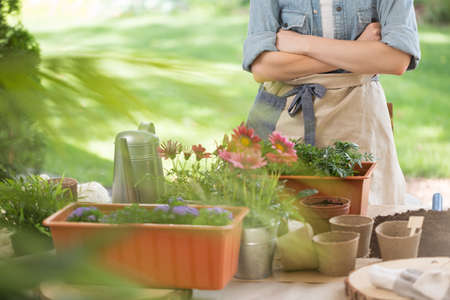 Close-up photo of a set of plastic, metal and paper pots standing on a wooden table.の写真素材