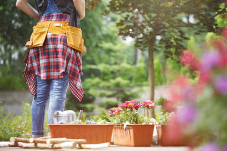 Professional gardener at work, inspecting customer's yard to decide where to plant flowersの写真素材