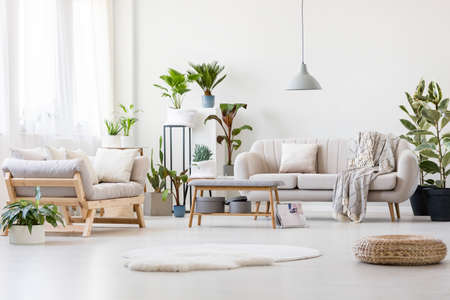 Pouf and white fur in spacious floral living room interior with wooden bench, beige sofas and plantsの写真素材
