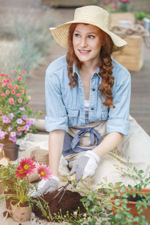 Woman wearing a sunhat and white gardening gloves preparing soil for replanting flowersの写真素材