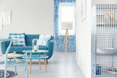 Blue wooden chair next to round table in bright living room interior with turquoise sofa and metal rackの写真素材