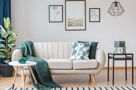 Green blanket on settee near ficus and table in bright living room interior with gallery of posters