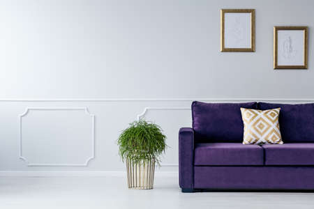 Plant in modern vase standing next to an ultra violet sofa with patterned pillow in living room...