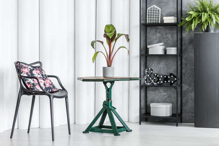 Floral pillow on black chair standing against white tubes wall in bright living room interior with green coffee tableの写真素材